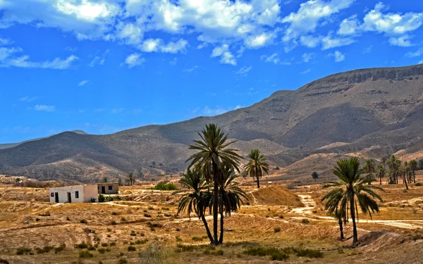 Panorama pustyni miejscowości matmata - Tunezja, Afryka — Zdjęcie stockowe