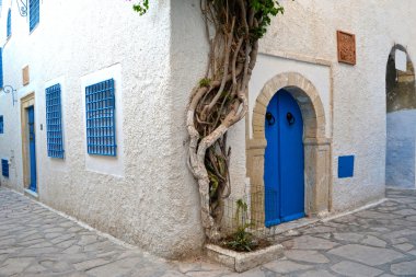 Tunus mimarisi