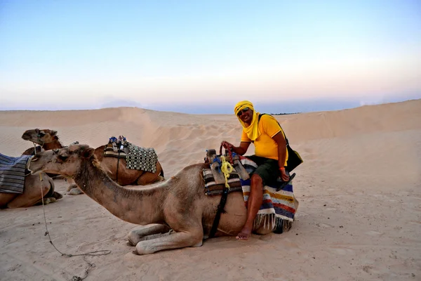 Homme à chameau dans le désert du Sahara — Photo