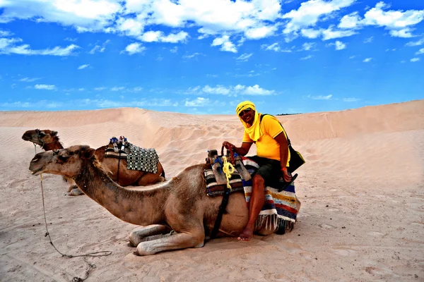 Hombre en camello en el desierto del Sahara —  Fotos de Stock