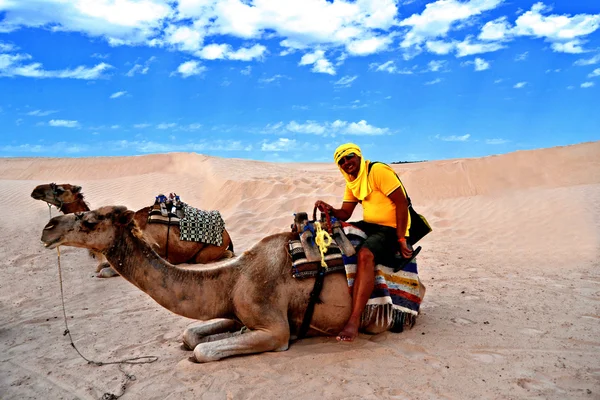 Mann auf Kamel in der Sahara-Wüste — Stockfoto