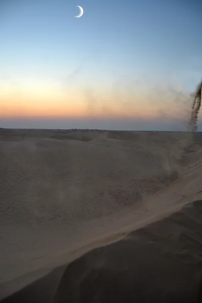 Vento di sabbia nel deserto del Sahara — Foto Stock