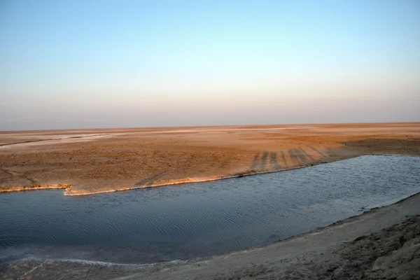 ショット エル ジェリド チュニジアの塩の湖 — ストック写真