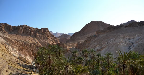 Canyons - chebika, Tunisien — Stockfoto