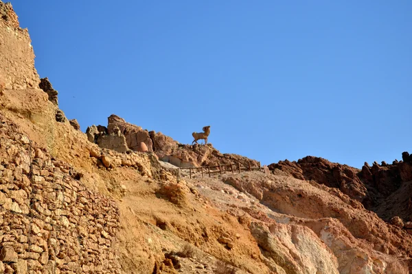 Canyon - Oasi di Nefta, Chebika, Tunisia — Foto Stock