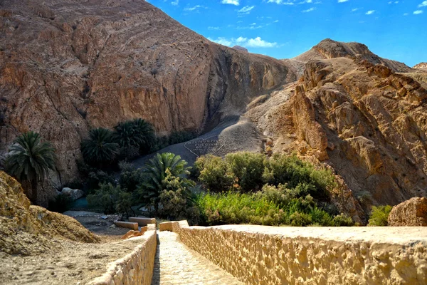 峡谷 - chebika, チュニジア — ストック写真