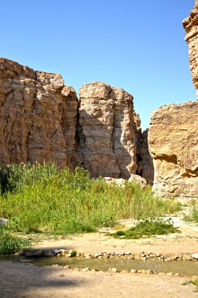 Oase tamerza - Tunesië, Afrika — Stockfoto