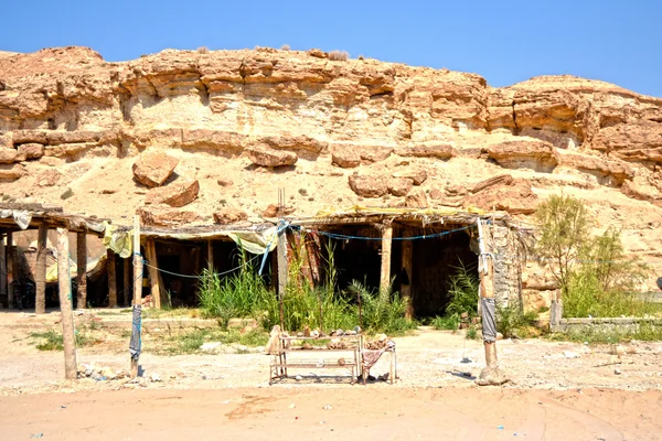 Oasis tamerza, Tunus — Stok fotoğraf