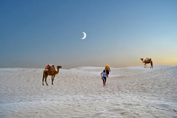 Die Dünen der Sahara — Stockfoto