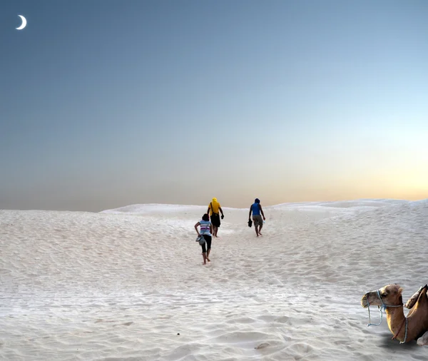Dune del Sahara — Foto Stock