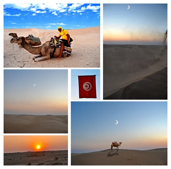 Tunisko — Stock fotografie