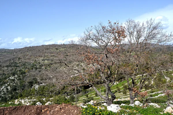 Paesaggio, Palazzolo Acreide — Foto Stock