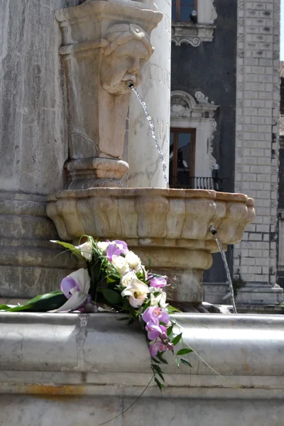 Flores na fonte — Fotografia de Stock