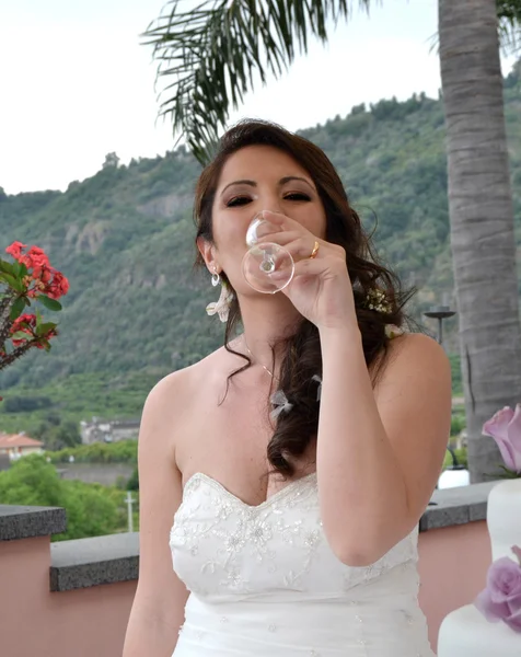 Brindisi per la sposa — Foto Stock