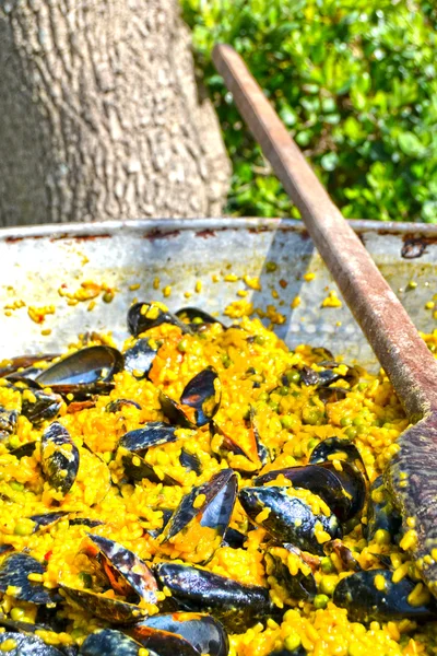 Arroz con mariscos —  Fotos de Stock