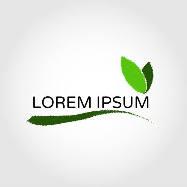 Zeytin yaprağı ile şube