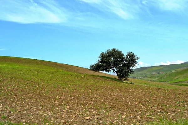 Paisagem mediterrânica natural — Fotografia de Stock