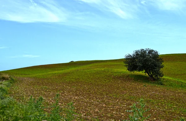 Paisagem mediterrânica natural — Fotografia de Stock