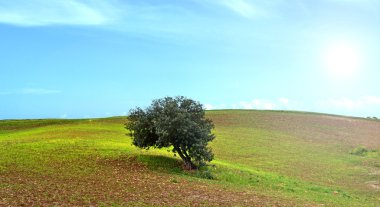 Doğal Akdeniz manzarası - Sicilya