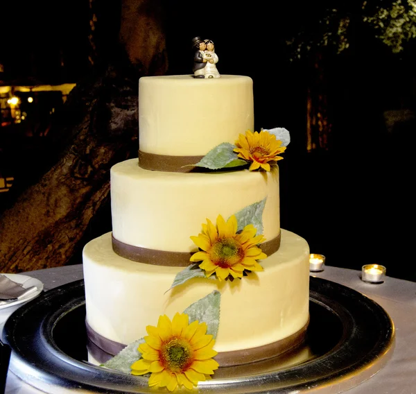 Gâteau de mariage — Photo