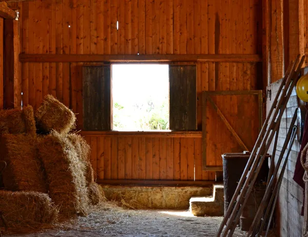 Boerderij — Stockfoto