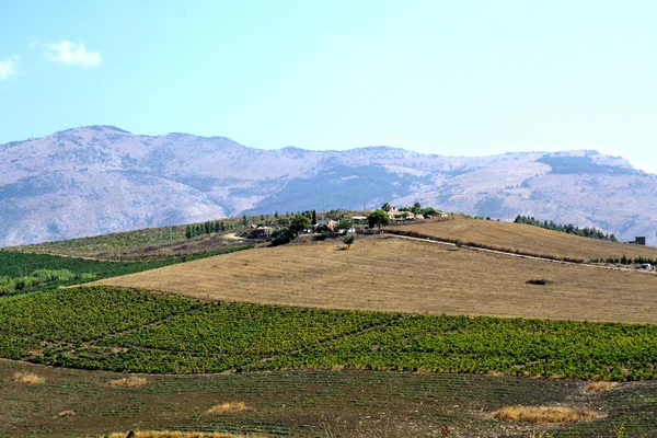 Blick vom Hügel von Segesta — Stockfoto