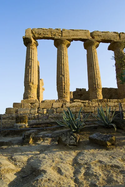 Tal der Tempel, Agrigent — Stockfoto