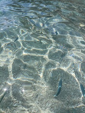 Seabed of Cala Mariolu Sardinia with a view of the fish