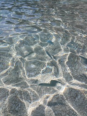 Seabed of Cala Mariolu Sardinia with a view of the fish