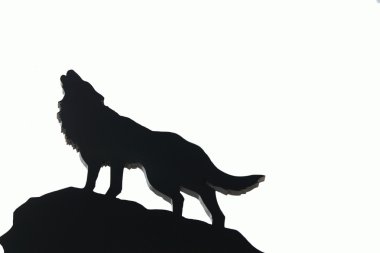 Beyaz bir arka plan üzerinde rakam kurt