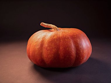 Kabak, izolasyondaki siyah arka planda yakın plan. Işıklı, parlak, hafif mistik aydınlatma. Çerçevede titreşim. Sonbahar teması. Cadılar Bayramı Tatili.