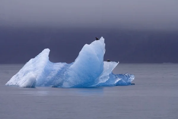 Iceberg del ghiacciaio North Sawyer nel braccio Tracy in Alaska Foto Stock