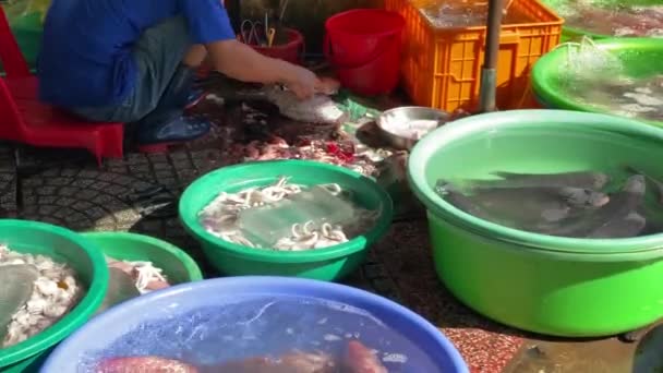 Deniz ürünleri pazarında balık satan bir adamın 4K görüntüleri. — Stok video