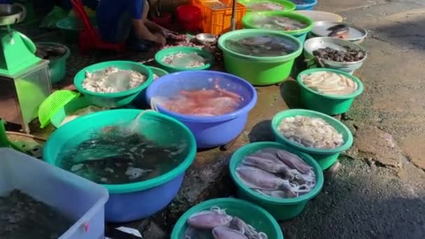 Variété de poisson frais sur le marché des fruits de mer au Vietnam — Video