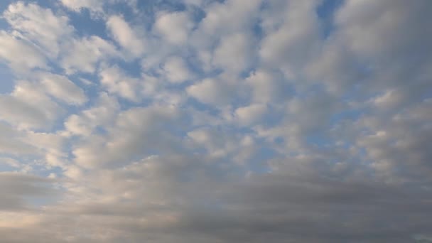 Πολλά άσπρα σύννεφα επιπλέουν στον ουρανό του σκουμπριού — Αρχείο Βίντεο