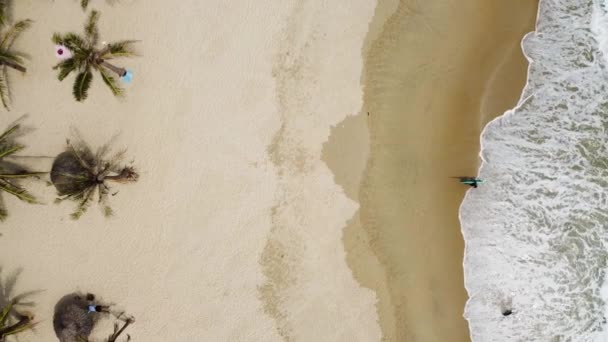Vista aérea sobre a praia com um surfista saindo da água e ondas escovando na areia. — Vídeo de Stock