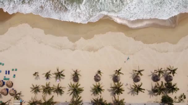 Vista aérea de la pintoresca playa de arena blanca con cabaña de playa, palmeras y olas cepillando en la orilla. — Vídeo de stock