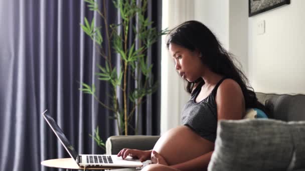 En vacker gravid asiatisk kvinna vidrör magen medan du arbetar på laptop hemma. — Stockvideo