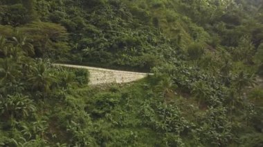 Arka planda dağlar olan bir yolda motosiklet süren bir adam. Ormandaki bir dağ yolunda Moped süren genç bir adamın hava görüntüsü.