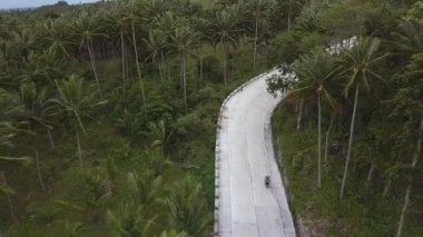 Güzel yolda kırmızı scooter süren bir adam. Ormandaki bir dağ yolunda Moped süren genç bir adamın hava görüntüsü.