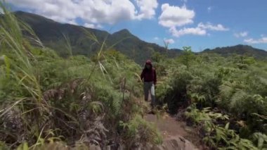 Asya 'da bir dağa tırmanan Asyalı genç kadın, güneşli havada palmiye ağaçları arasında ormanı geziyor.