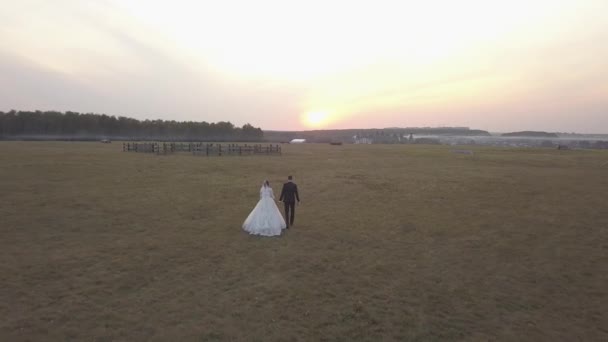 Вид с воздуха на молодую пару на свадьбе с видом на горы вокруг, пустыню и красивую поляну — стоковое видео