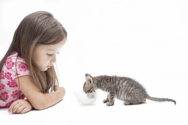 Котёнок с маленькой девочкой — стоковое фото