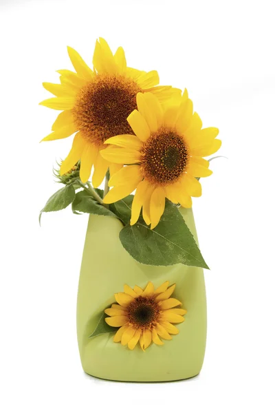 Sun flower in vase — Stock Photo, Image