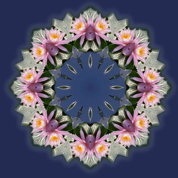 Pond lily Kaleidoscope — Stock Photo, Image