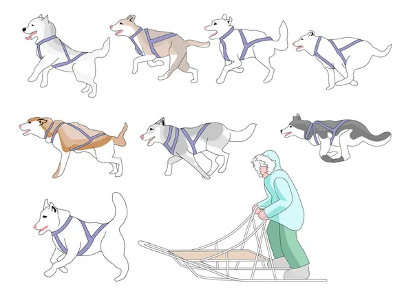 Musher and dogs mix n match — Image vectorielle