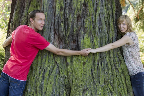 Couple holding hands and hugging large tree trunk — Stock Photo, Image