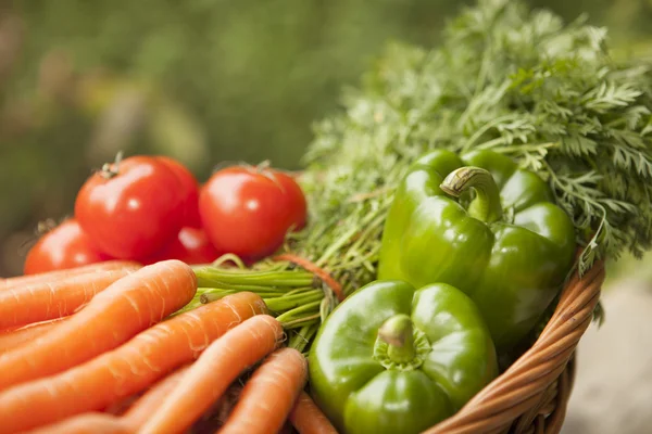 Basket full of vegetables — Stock Photo, Image