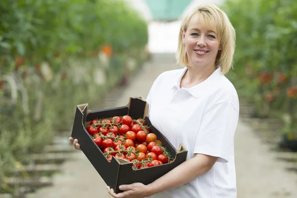 Blond kvinna fyrtio år gammal arbetar i ett växthus — Stockfoto