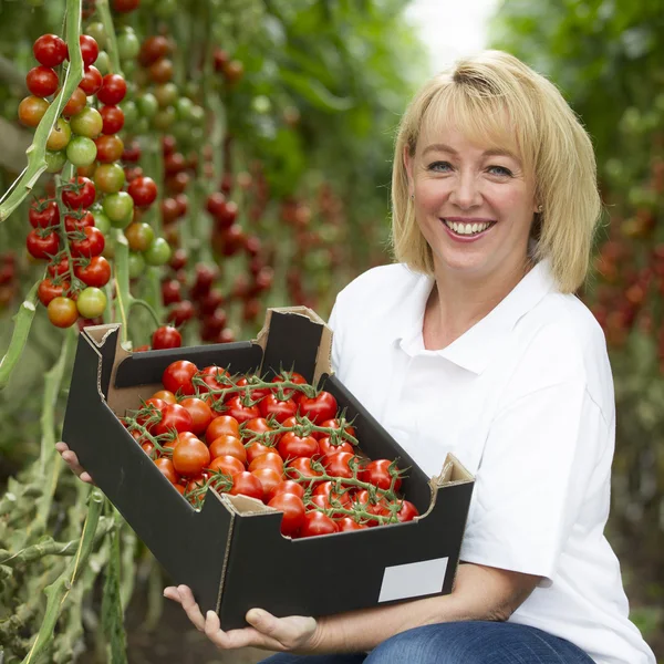 Blond kvinna fyrtio år gammal arbetar i ett växthus — Stockfoto